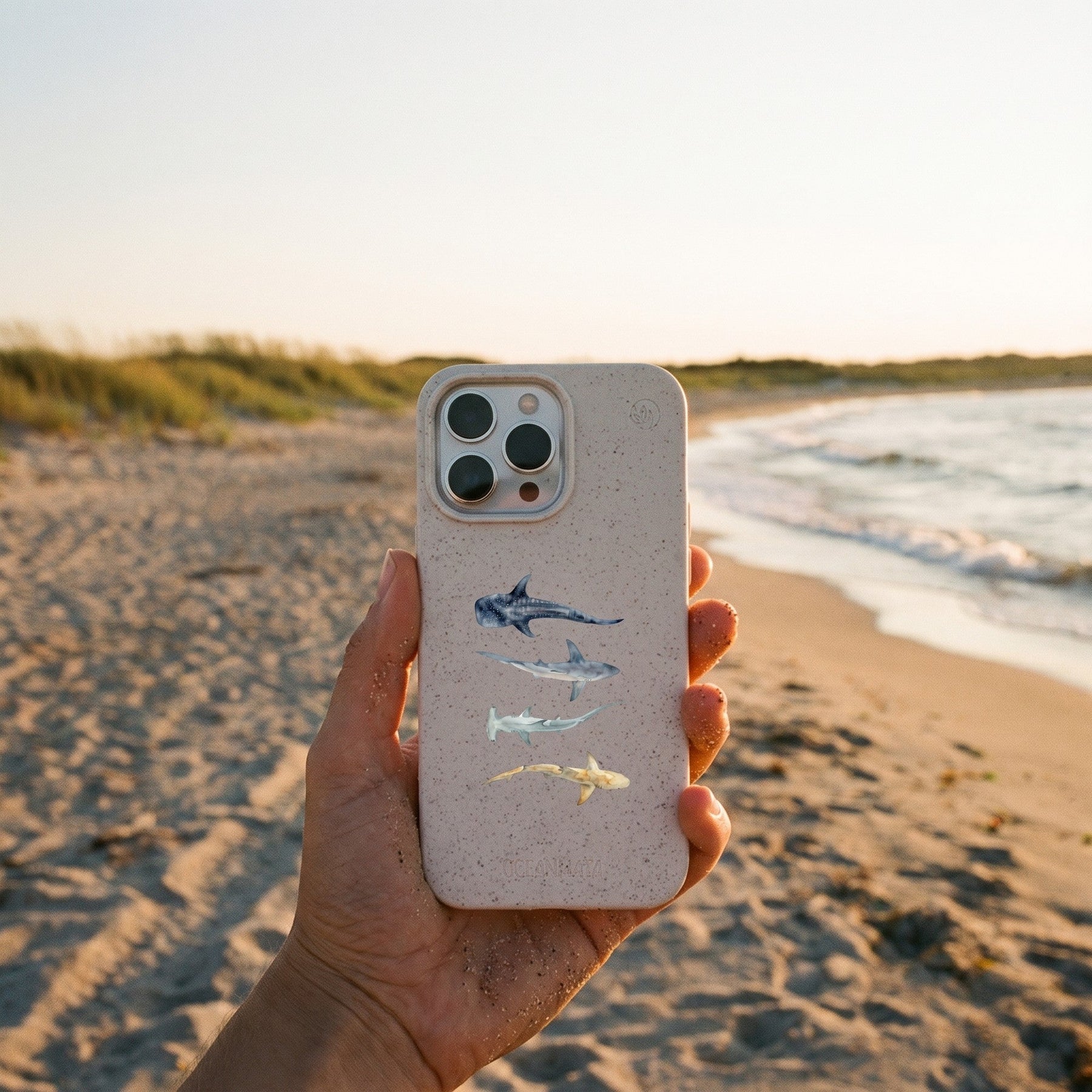 Biologisch abbaubare Handyhülle iPhone 11 pro Sharkproject — kompostierbar — in der Hand