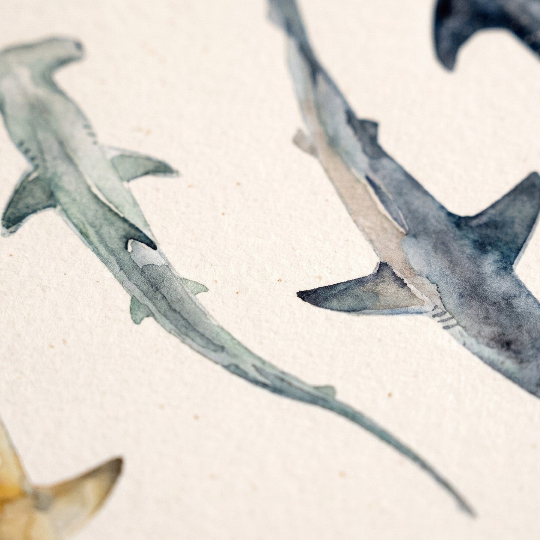 Biologisch abbaubare Handyhülle iPhone 11 pro Sharkproject — kompostierbar — Detailaufnahme Druck